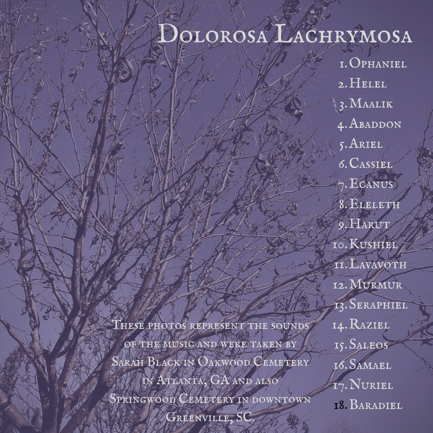 PRE ORDER Limited Edition CD set of Dolorosa Lachrymosa+All My Nights Were Trances