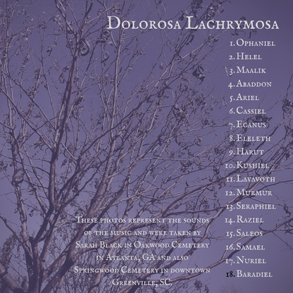 PRE ORDER Limited Edition CD set of Dolorosa Lachrymosa+All My Nights Were Trances